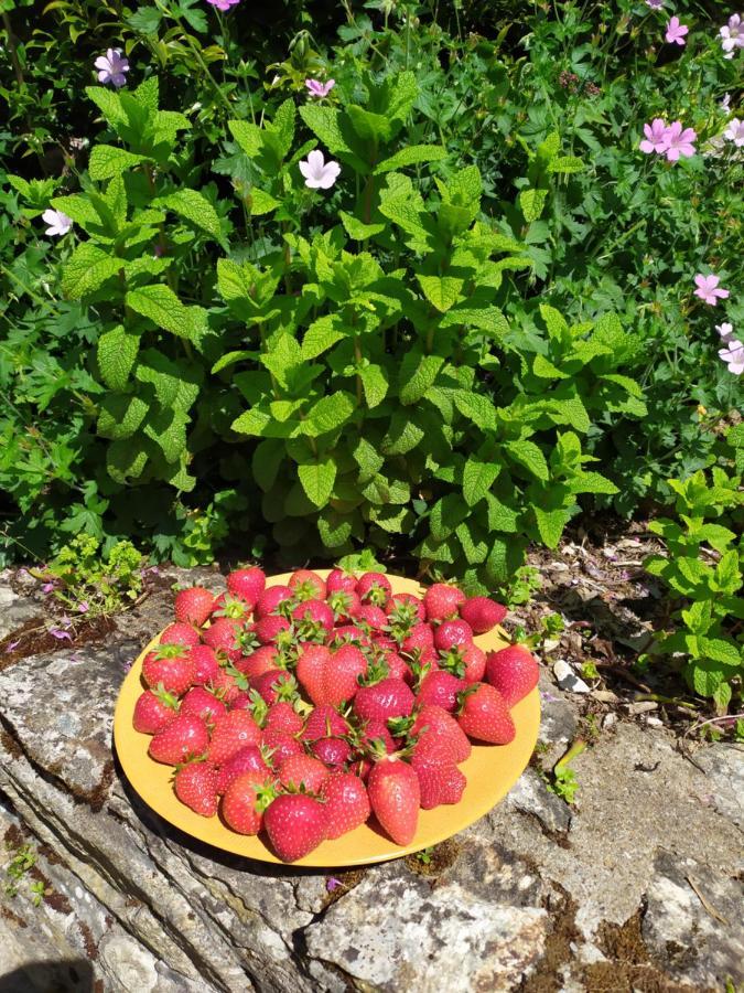 La Bisquine Bed and Breakfast Saint-Nolff Εξωτερικό φωτογραφία
