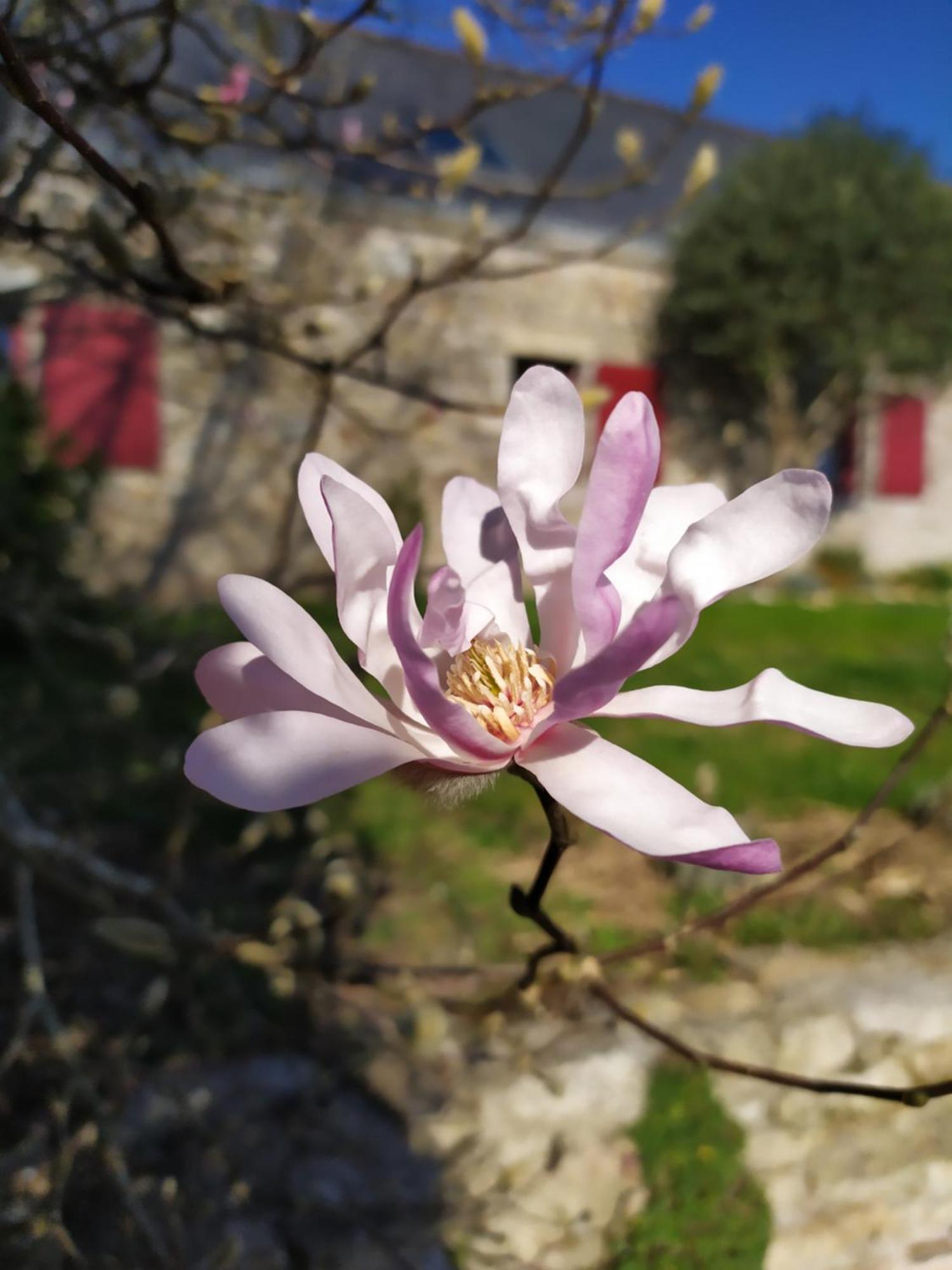 La Bisquine Bed and Breakfast Saint-Nolff Εξωτερικό φωτογραφία